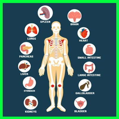 تحقیق بررسی فیزیولوژی و فیزیک گفتار