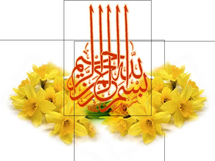 پاورپوینت درمان سل