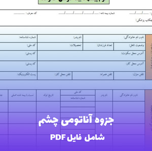 جزوه آناتومی چشم فایل PDF | منبع کامل و مصور